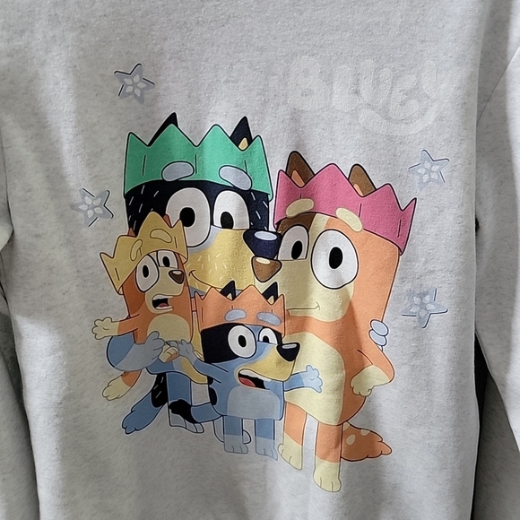 Bluey family gray sweatshirt men's small NWT Comfy Unisex - Picture 2 of 5
